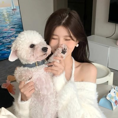 苦茶香